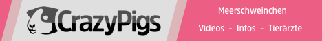 CrazyPigs Downloadpartner