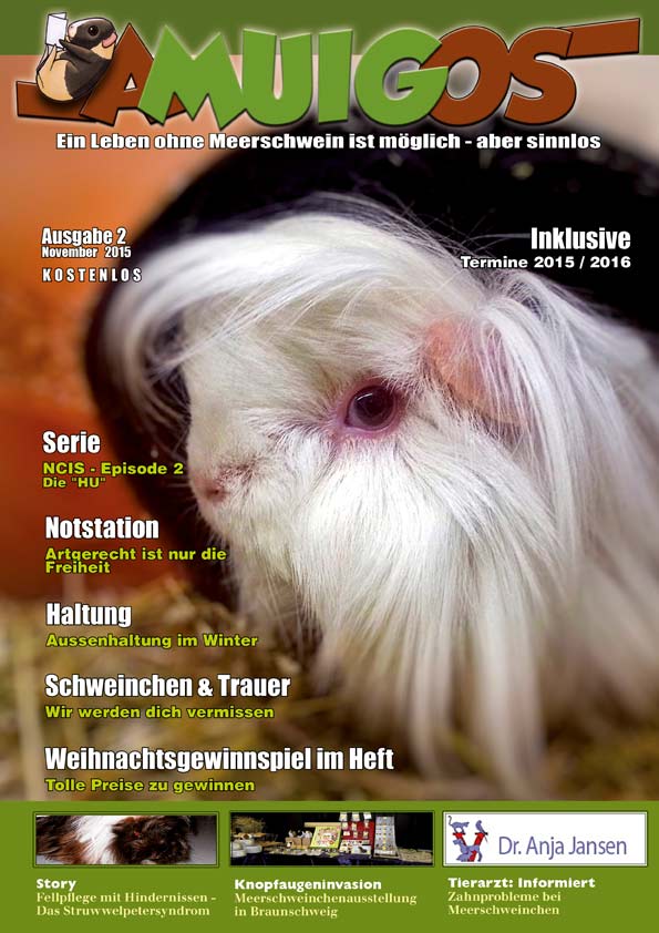 Newsbilder: amuigos2_2015_titelseite_webtease.jpg